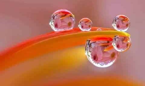 14805437_10210952434957482_206758805_n