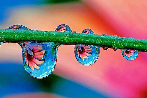 16472822_1749250801766969_9045341589991564039_n