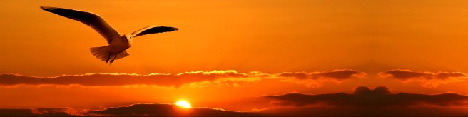 essere-felici-liberi