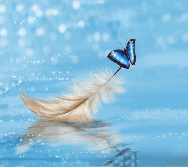 18920186_10213279586054805_2051528714418040197_n